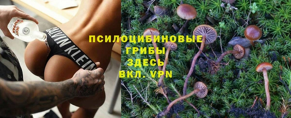 тгк Алзамай