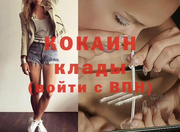 PSILOCYBIN Карталы