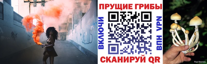 цены Малаховка Галлюциногенные грибы GOLDEN TEACHER